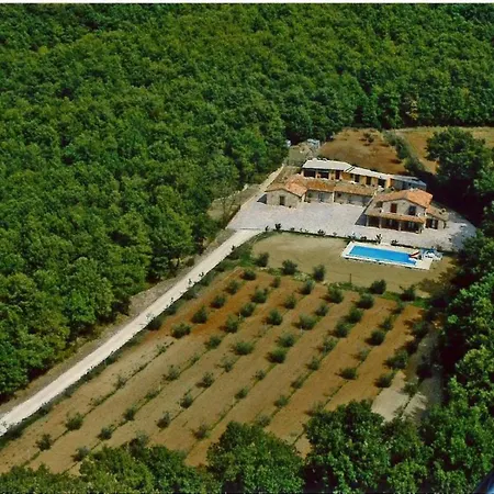 Appartamentino Elena Apartment Grutti
