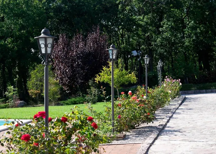 Apartament Appartamentino Elena Grutti